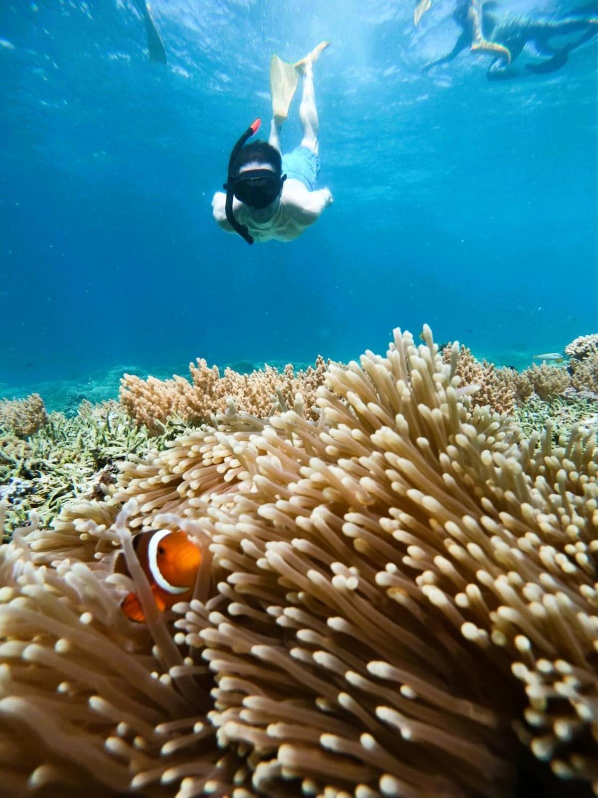 Gili Mesari Cottages & Homestay Gili Trawangan Zewnętrze zdjęcie