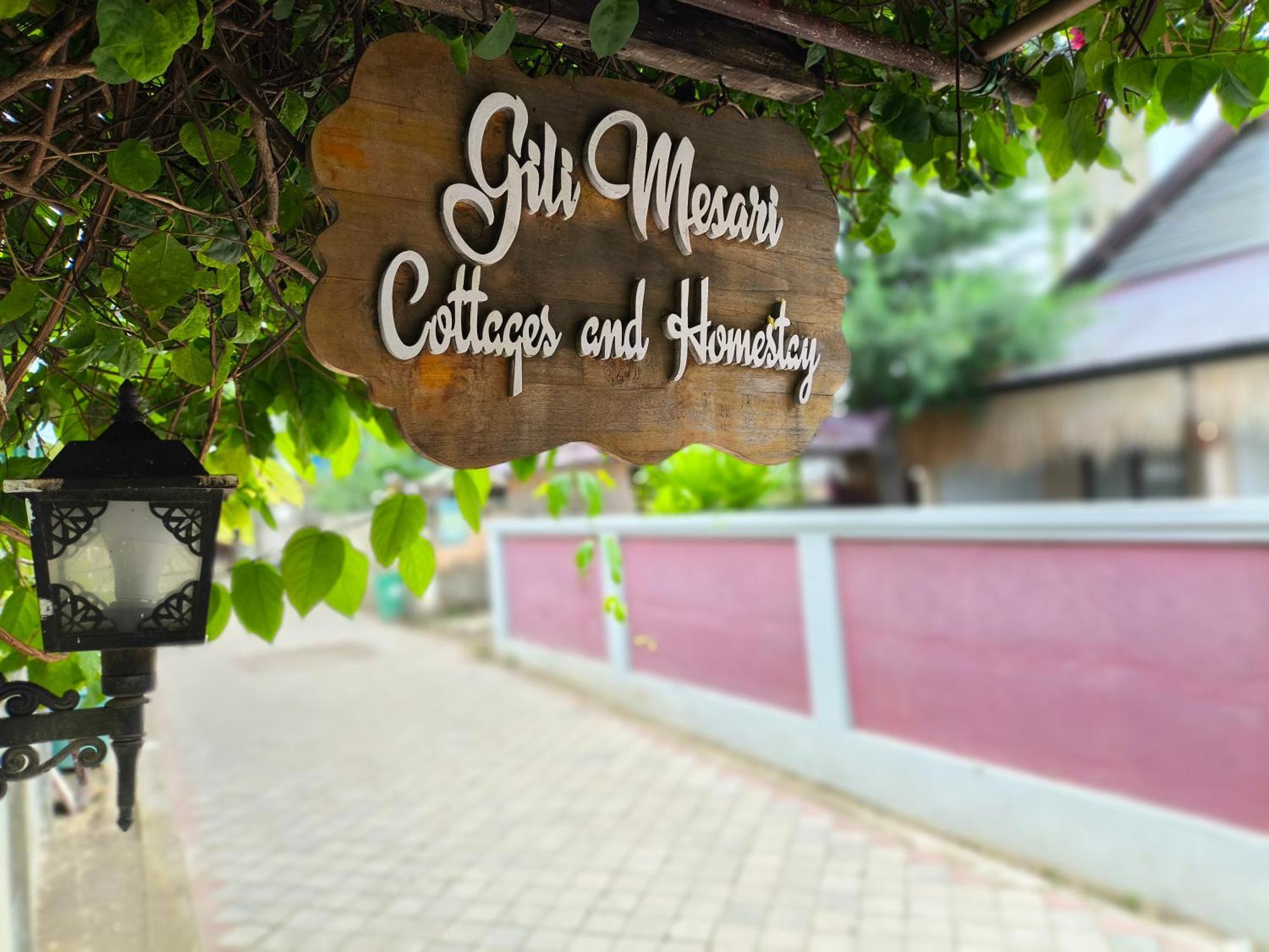 Gili Mesari Cottages & Homestay Gili Trawangan Zewnętrze zdjęcie