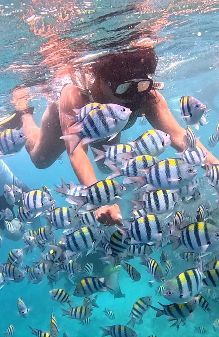 Gili Mesari Cottages & Homestay Gili Trawangan Zewnętrze zdjęcie
