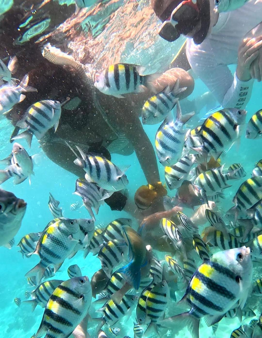 Gili Mesari Cottages & Homestay Gili Trawangan Zewnętrze zdjęcie